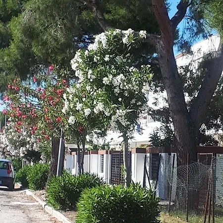 Διαμέρισμα La Terrazza Sul Mare *